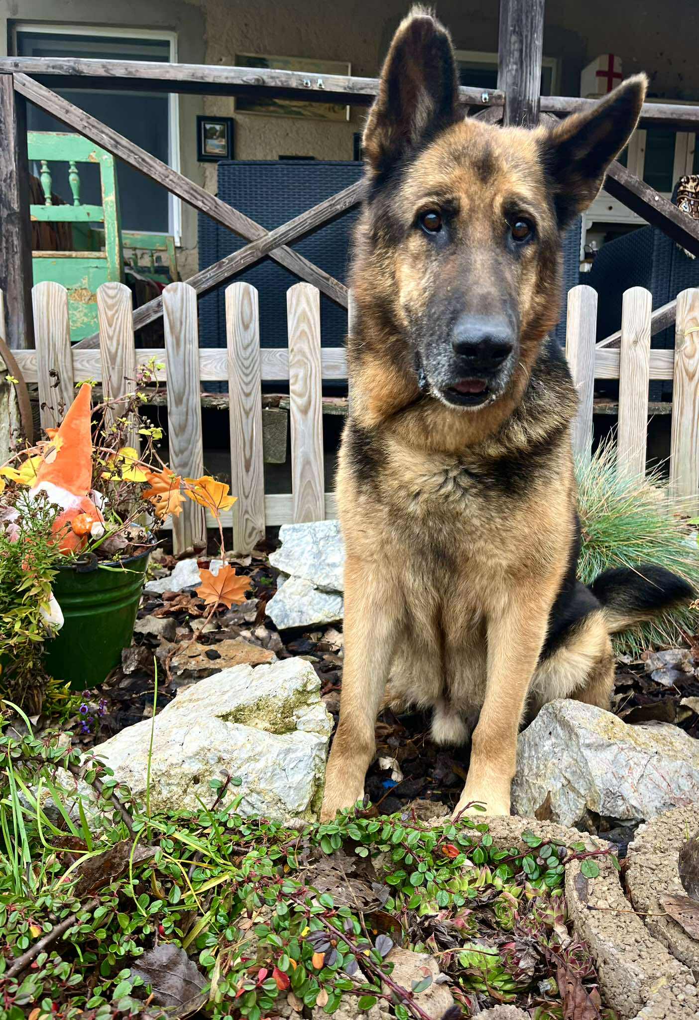 582078026_1220622513256122_1284100186024981681_n