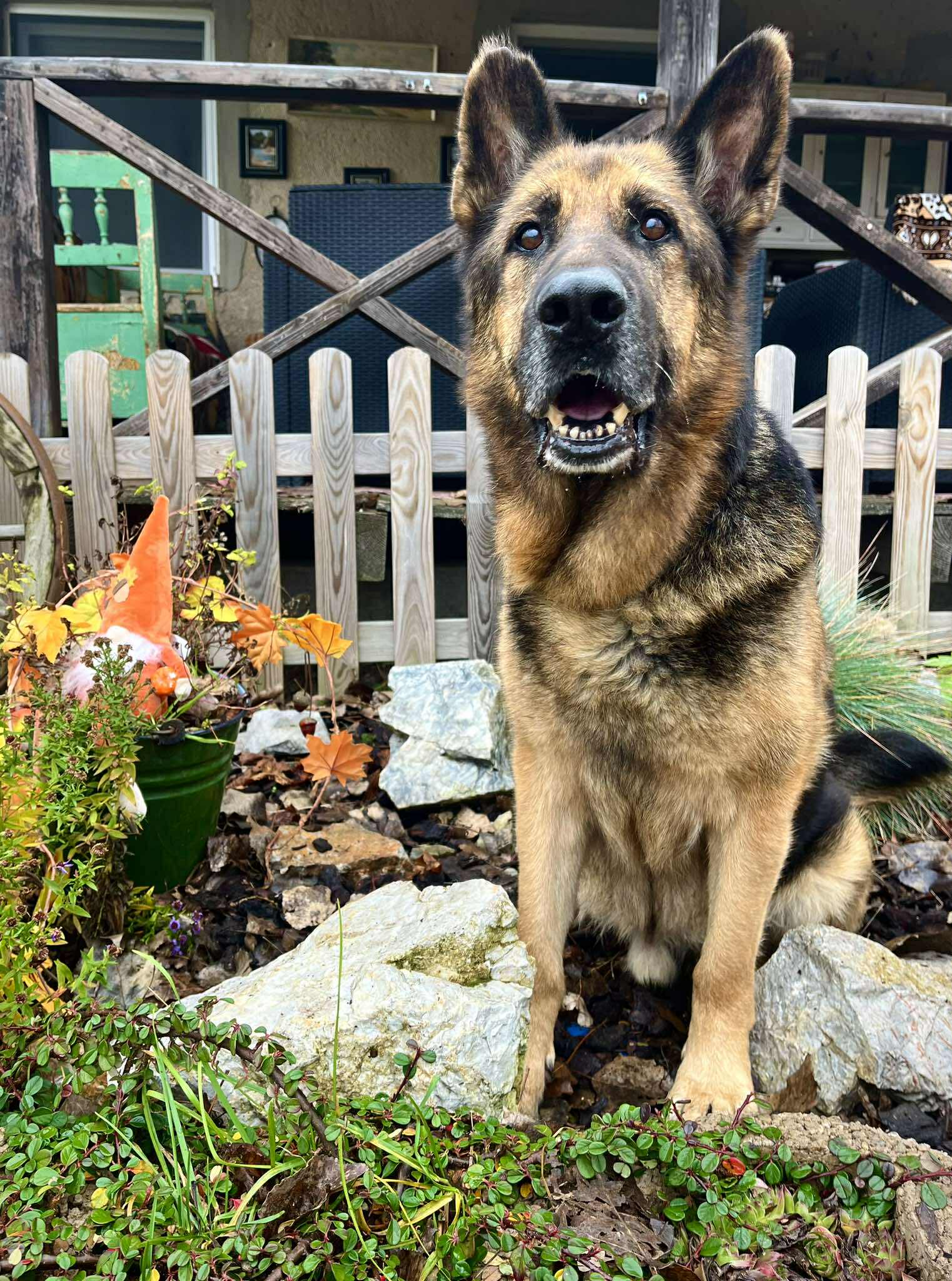 582309346_830934929899439_5560727792002018127_n