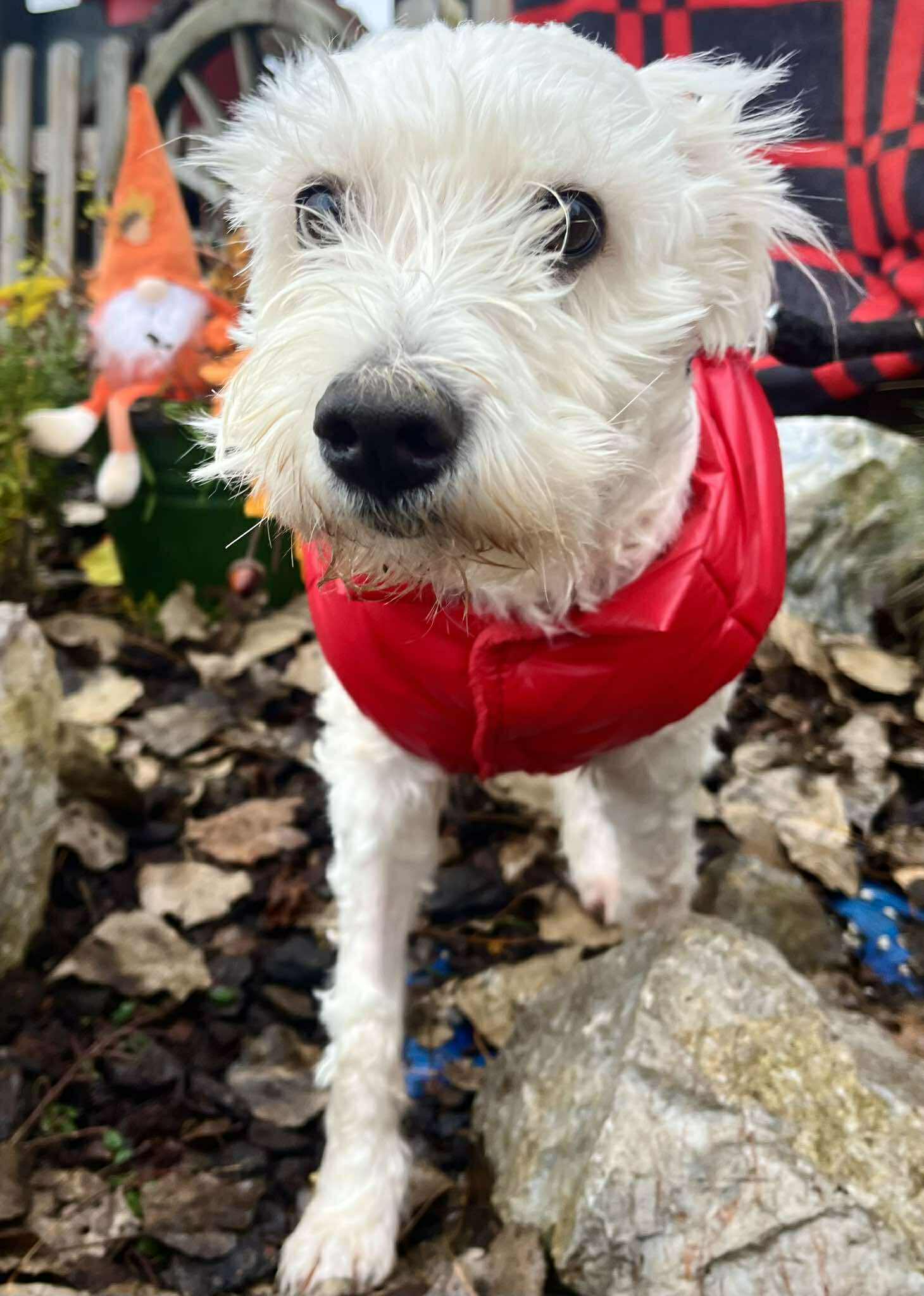 581799975_842635748180152_7004682368761269841_n