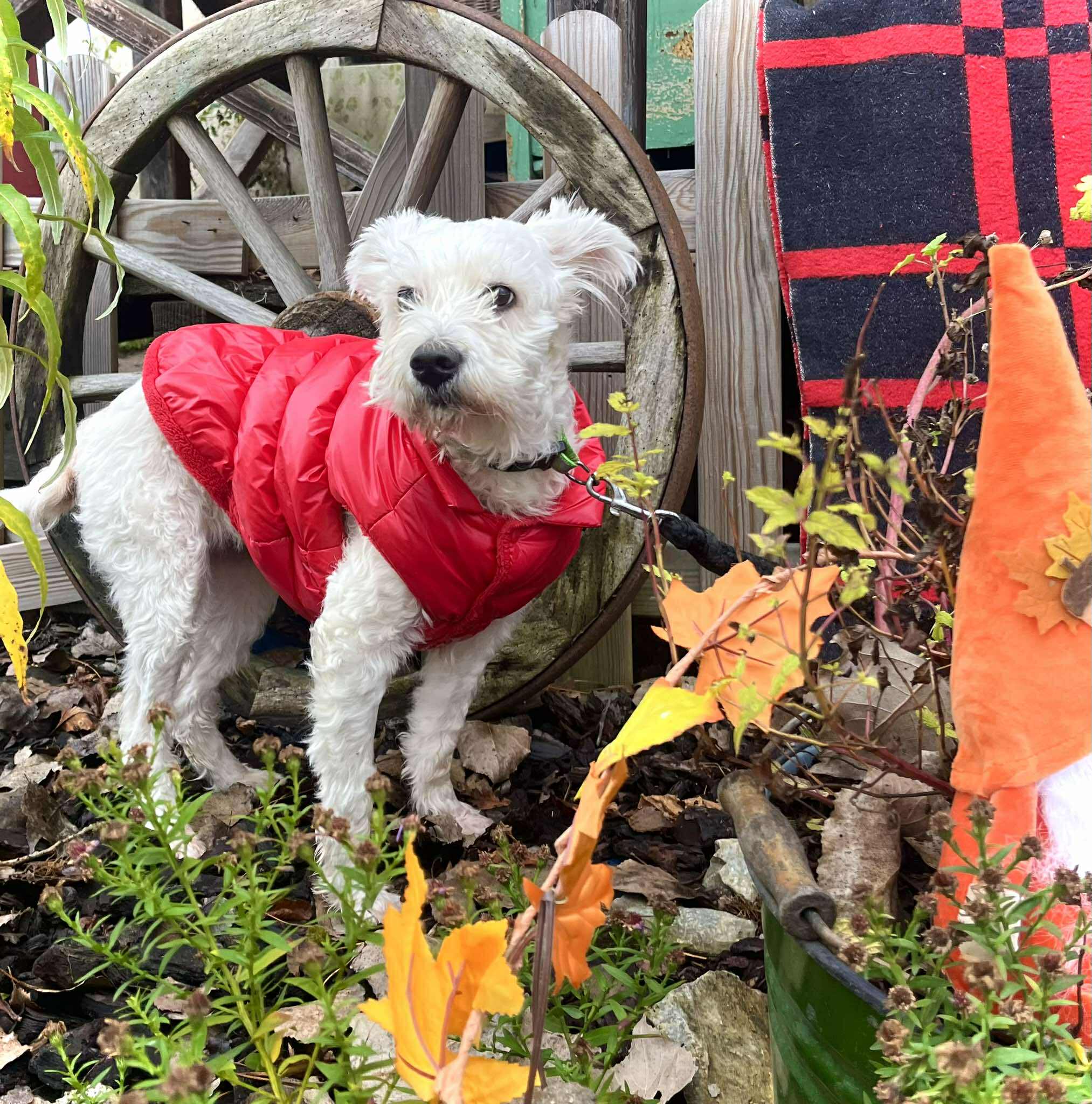 582045587_1529648128112973_3207754193155735365_n