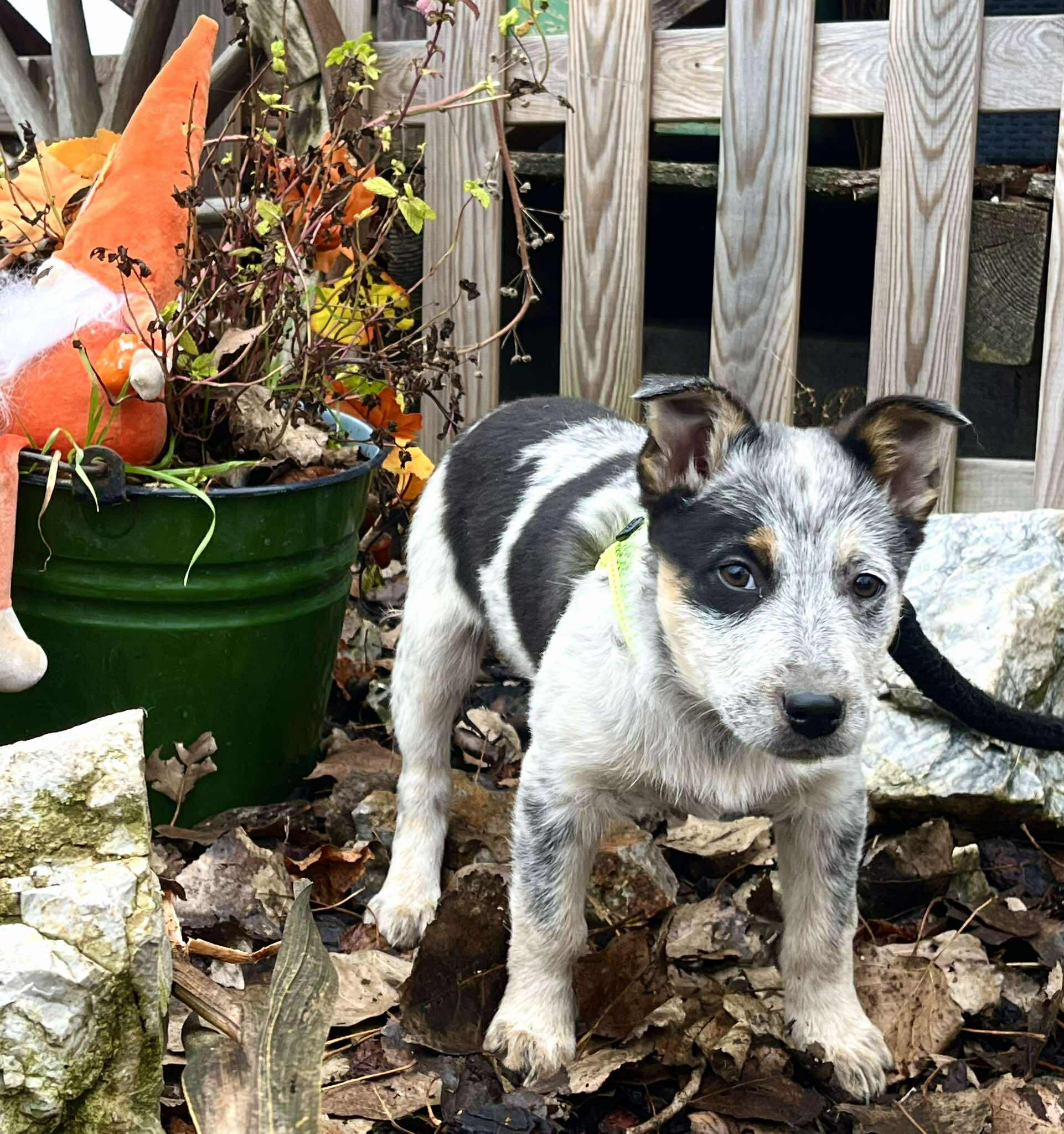 582433074_1143036741359361_2032053443310652941_n